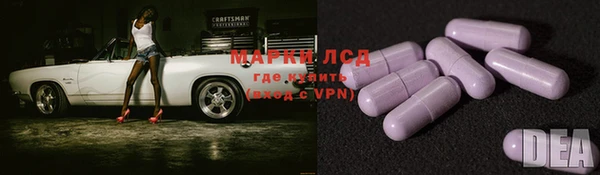 гашик Алзамай