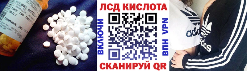 купить наркотики сайты  Геленджик  ЛСД экстази ecstasy 