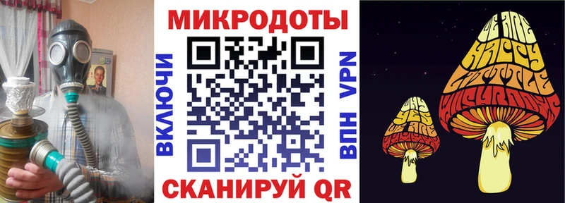 блэк спрут как зайти  купить закладку  Геленджик  Псилоцибиновые грибы ЛСД 